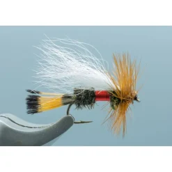 Royal Trude - Your Premium Fishing Gear Store Rods Lines Baits Accessories* Flash Sale