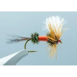 Royal Wulff - 1 Doz. - Your Premium Fishing Gear Store Rods Lines Baits Accessories* Store