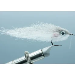 Shiner #2/0 - Your Premium Fishing Gear Store Rods Lines Baits Accessories* Online