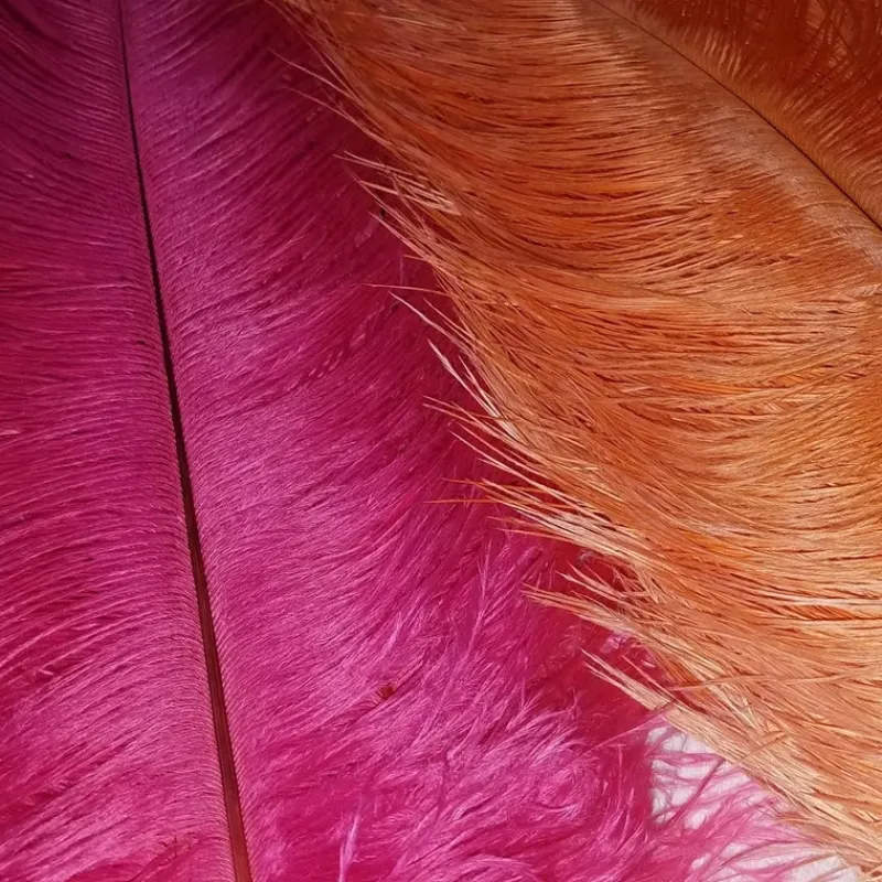 Siskiyou Aviary Ostrich - Your Premium Fishing Gear Store Rods Lines Baits Accessories* New