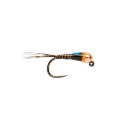 Spanish Bullet Quill Barbless - Your Premium Fishing Gear Store Rods Lines Baits Accessories* Fashion