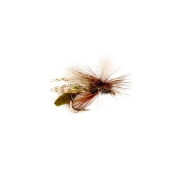 Spotlight Caddis Emerger Olive - Your Premium Fishing Gear Store Rods Lines Baits Accessories* Shop