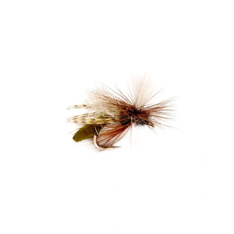 Spotlight Caddis Emerger Olive - Your Premium Fishing Gear Store Rods Lines Baits Accessories* Shop
