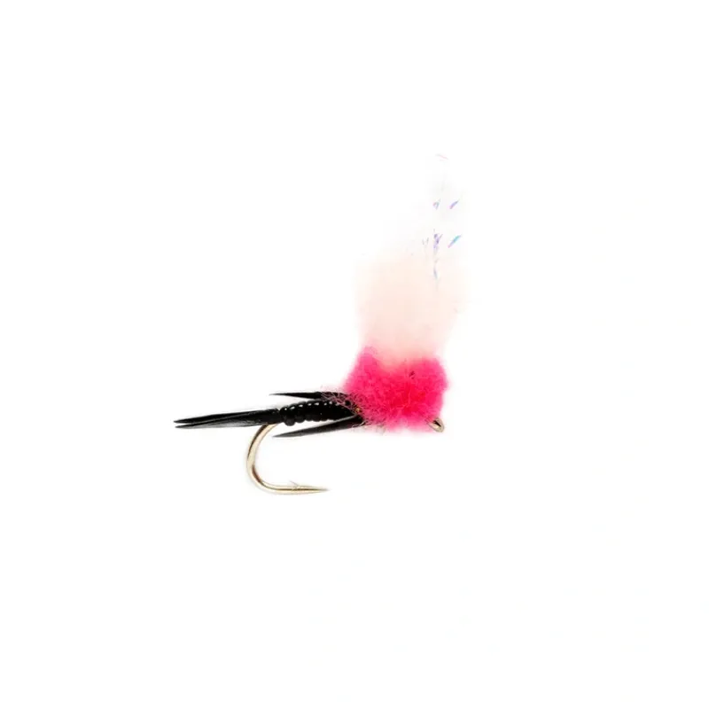 Steak N Eggs Cerise - Your Premium Fishing Gear Store Rods Lines Baits Accessories* Discount