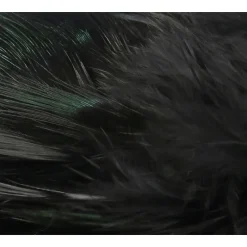 Strung Ringneck Rump Feathers - Your Premium Fishing Gear Store Rods Lines Baits Accessories* Cheap