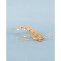 Tailer's Beware - Your Premium Fishing Gear Store Rods Lines Baits Accessories* Best