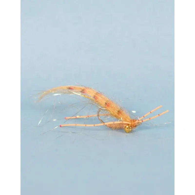 Tailer's Beware - Your Premium Fishing Gear Store Rods Lines Baits Accessories* Best