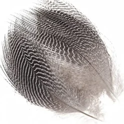 Bait^ TEAL BARRED FLANK - Your Premium Fishing Gear Store Rods Lines Baits Accessories