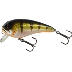 Bait^ Westin FatBite Floating Crankbait, 2 1/8", 5/16 oz, Bling Perch - Your Premium Fishing Gear Store Rods Lines Baits Accessories