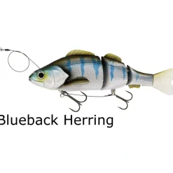 Fishing Line^ Westin Percy the Perch Jointed (HL) Inline Hard Lure - Your Premium Fishing Gear Store Rods Lines Baits Accessories
