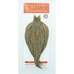 Fishing Line^ Whiting Cape Bronze - Your Premium Fishing Gear Store Rods Lines Baits Accessories