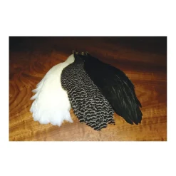 Bait^ Whiting Hen Saddle - Your Premium Fishing Gear Store Rods Lines Baits Accessories