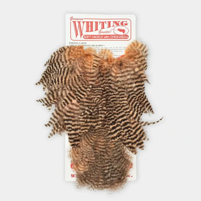 Fly Fishing^ Whiting Rooster SH/C - Your Premium Fishing Gear Store Rods Lines Baits Accessories