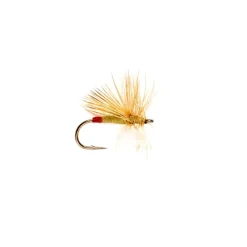 Fly Fishing^ Yellow Sally - Your Premium Fishing Gear Store Rods Lines Baits Accessories
